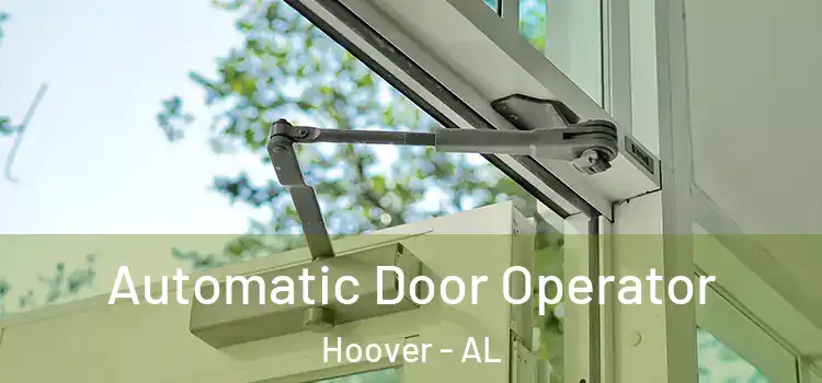 Automatic Door Operator Hoover - AL