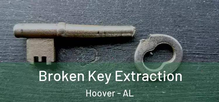  Broken Key Extraction Hoover - AL