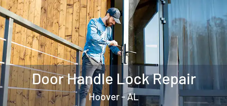 Door Handle Lock Repair Hoover - AL