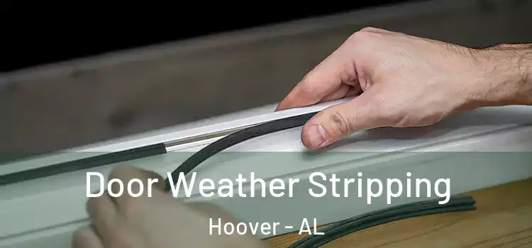  Door Weather Stripping Hoover - AL