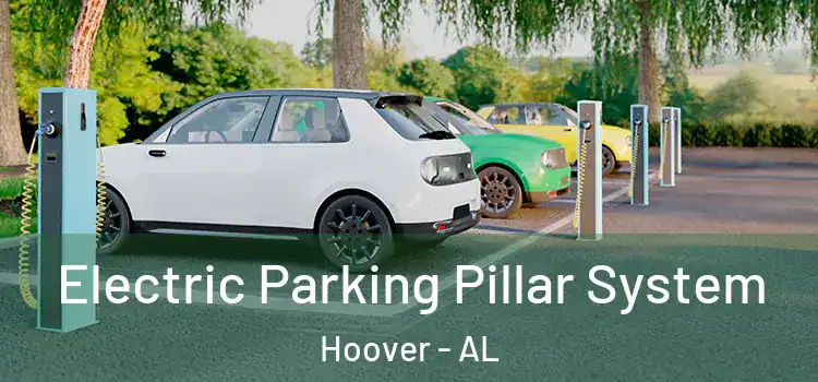 Electric Parking Pillar System Hoover - AL