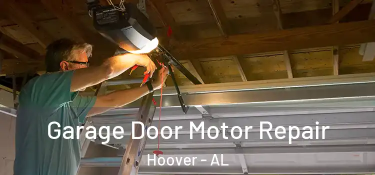  Garage Door Motor Repair Hoover - AL