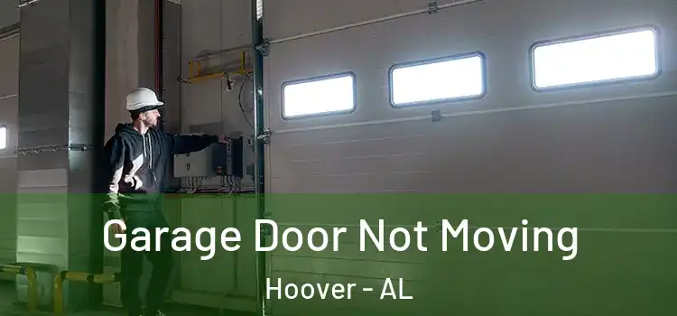  Garage Door Not Moving Hoover - AL