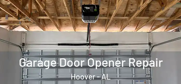  Garage Door Opener Repair Hoover - AL
