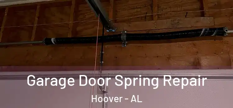  Garage Door Spring Repair Hoover - AL