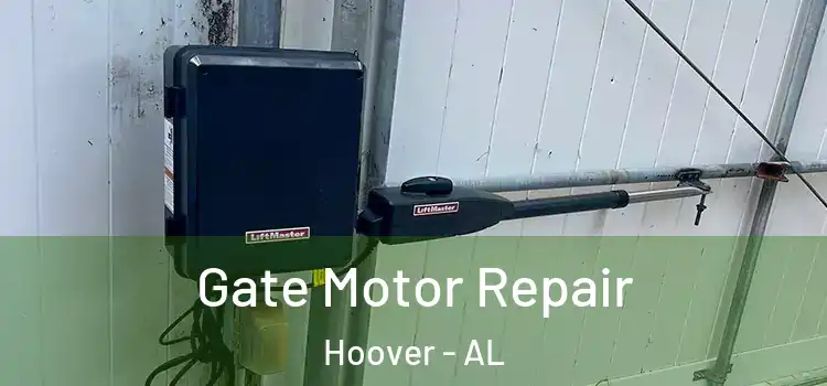  Gate Motor Repair Hoover - AL