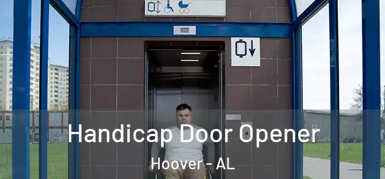 Handicap Door Opener Hoover - AL