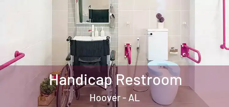  Handicap Restroom Hoover - AL