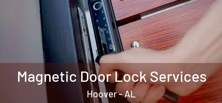  Magnetic Door Lock Services Hoover - AL