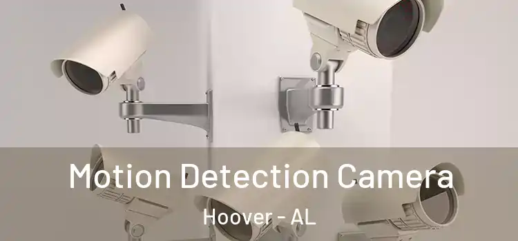  Motion Detection Camera Hoover - AL
