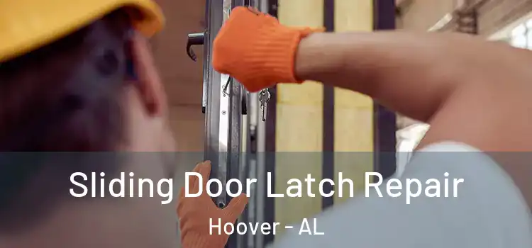  Sliding Door Latch Repair Hoover - AL